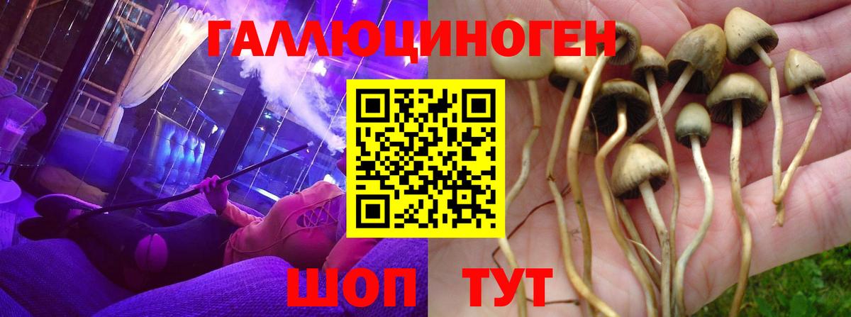 Псилоцибиновые грибы прущие грибы  Галлюциногенные грибы Psilocybe  хочу наркоту  Коломна  Вход с VPN 