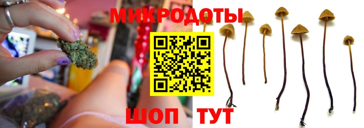 Псилоцибиновые грибы Cubensis Коломна